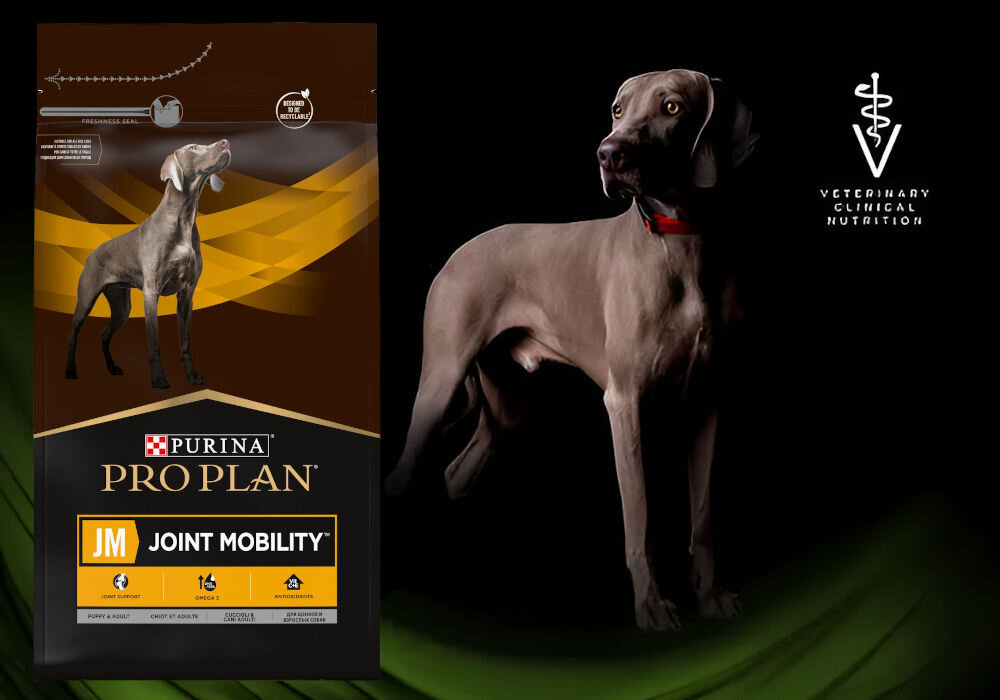Karma dla psa PURINA Pro Plan Canine Joint Mobility 12 kg sklad zywienie
