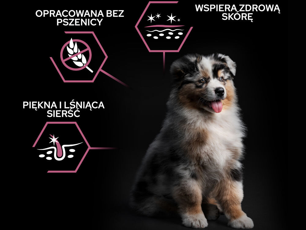 Karma dla psa PURINA Pro Plan Medium Puppy Sensitive Skin Łosoś 12 kg sklad zywienie