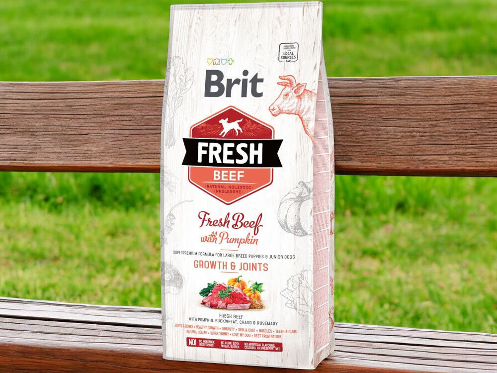Karma dla psa BRIT Fresh Puppy&Junior Large Beef Wołowina z dynią 12 kg