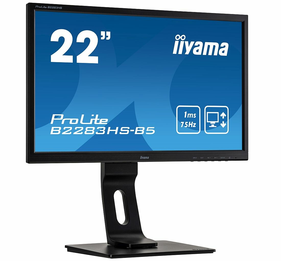 Monitor IIYAMA ProLite B2283HS-B5 - Wyrazisty obraz 