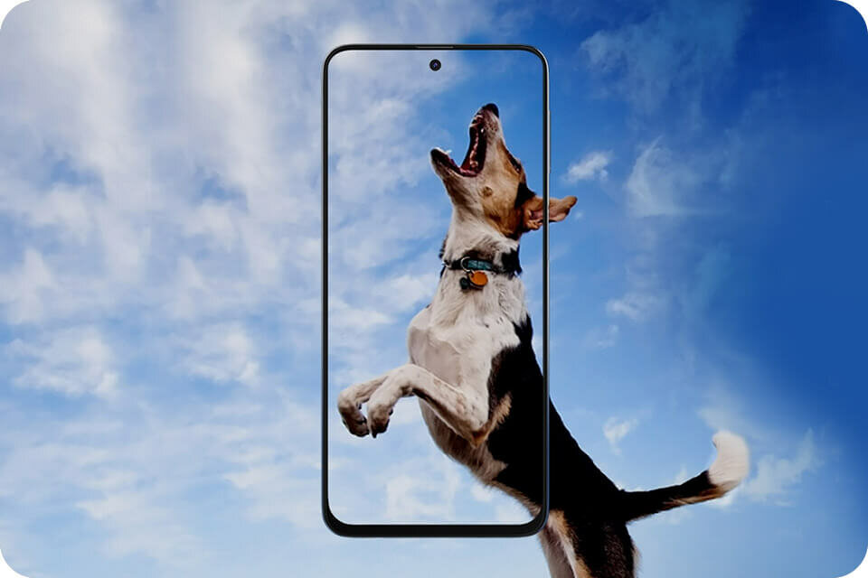 phpMJd1u7 ekran infinity-o phpMJd1u7 ekran infinity-o