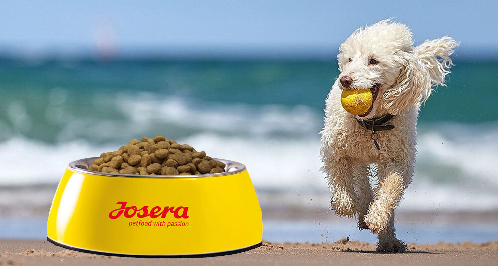 Karma dla psa JOSERA MiniDeluxe Jagnięcina 900 g witaminy pierwiastki aminokwasy