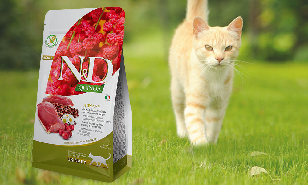 Karma dla kota FARMINA N&D Quinoa Urinary Kaczka żurawina i rumianek 1,5 kg dawkowanie analiza sklad
