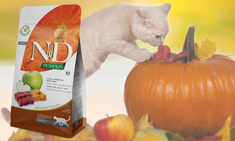 Karma dla kota FARMINA N&D Adult Pumpkin Jeleń z dynią i jabłkiem 1.5 kg dawkowanie analiza sklad