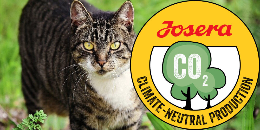 Karma dla kota JOSERA SensiCat Drób 2 kg naturalne składniki wielkość krokietów