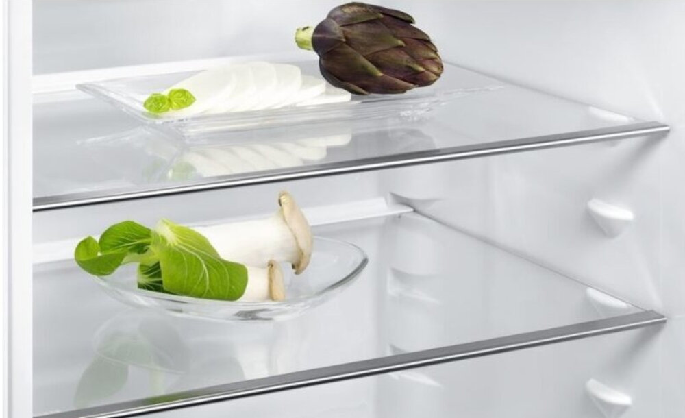 ELECTROLUX-LTB1AF24W0 lodówka przestrzeń produkty szkło półki