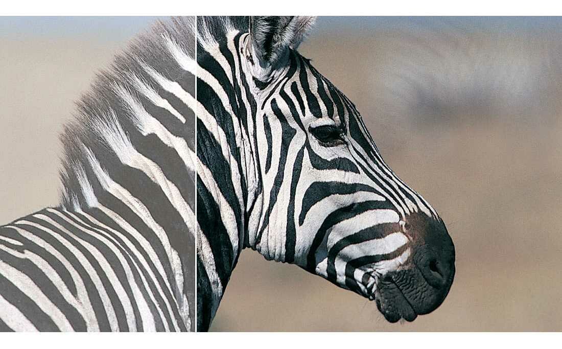 Monitor PHILIPS 242B9TL - SmartContrast 