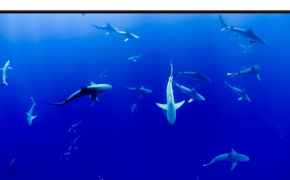 Monitor Acer B247YD - IPS przekątna ekranu 23,8 cala komzofrotwa rozgrywka rozdzielczość Full HD