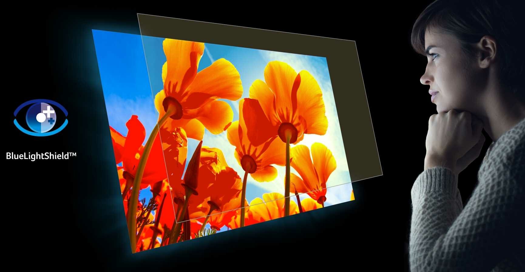 Monitor ACER K273 - BlueLightShield 