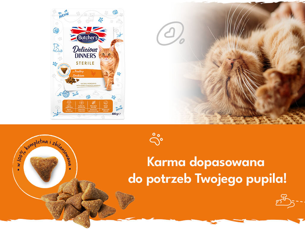 butchers delicious dinners kot sterile grafika druga 800g