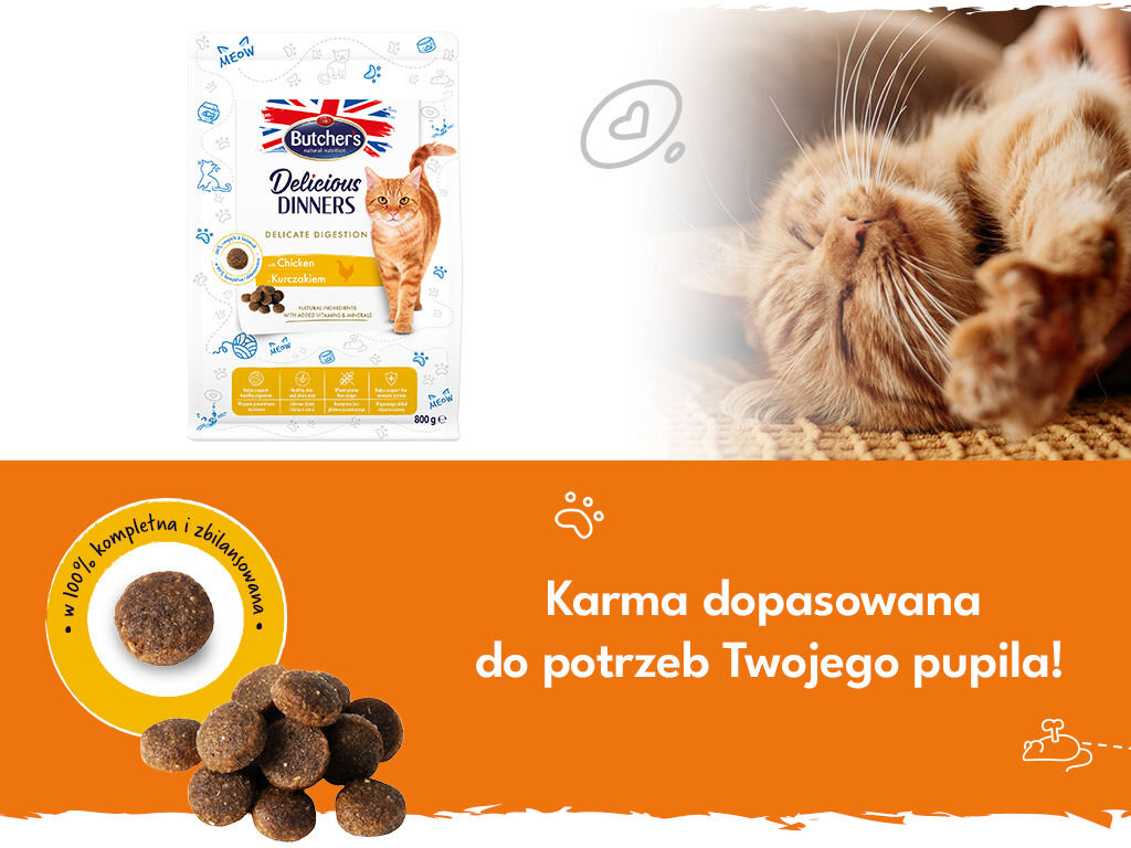 butchers delicious dinners kot delicate grafika druga 800g