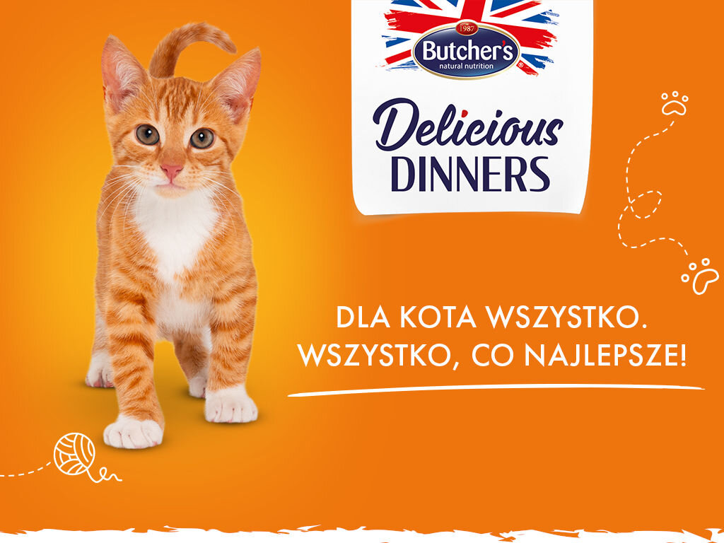butchers delicious dinners kot junior grafika pierwsza 800g