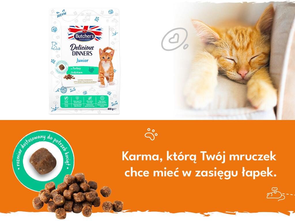 butchers delicious dinners kot junior grafika druga 800g