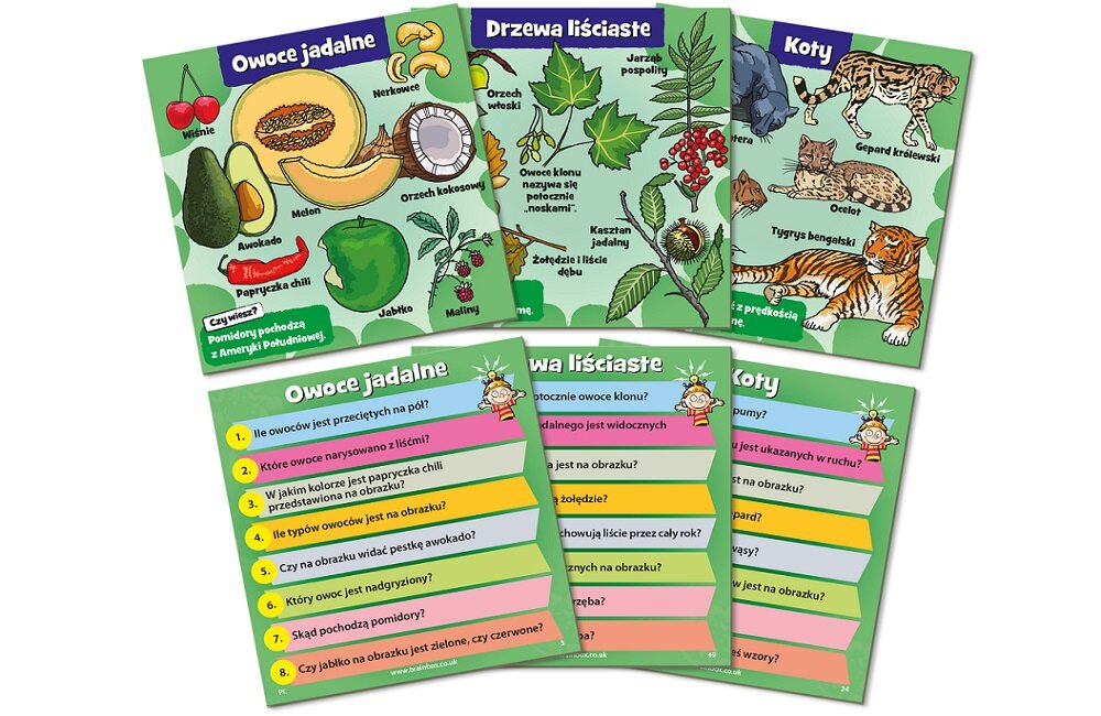 Gra edukacyjna REBEL BrainBox Przyroda 116130 Wiele godzin kreatywnej zabawy Dla każdego małego fana przyrody