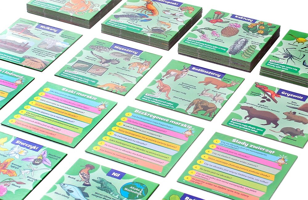 Gra edukacyjna REBEL BrainBox Przyroda 116130 Łatwe zasady