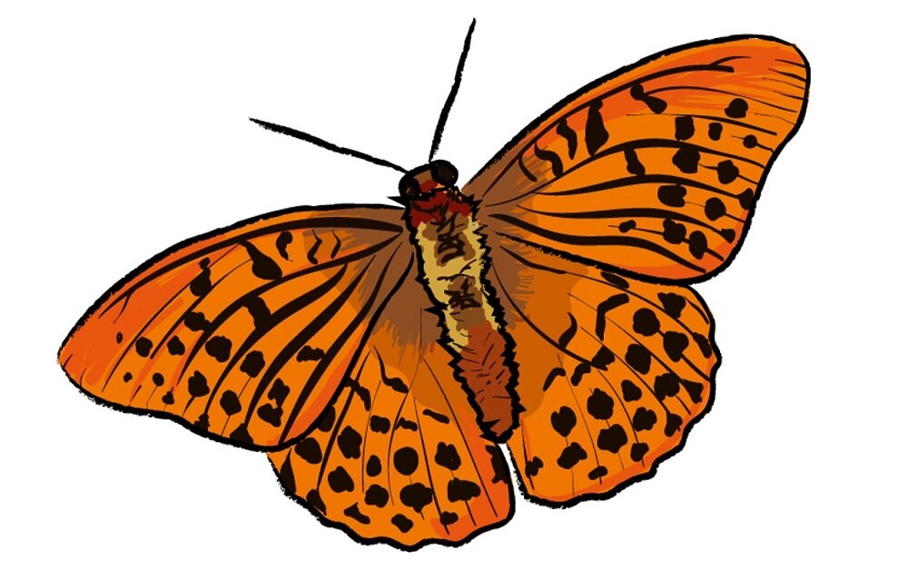 Gra edukacyjna REBEL BrainBox Przyroda 116130 Najlepsza gra dla najlepszych zawodników