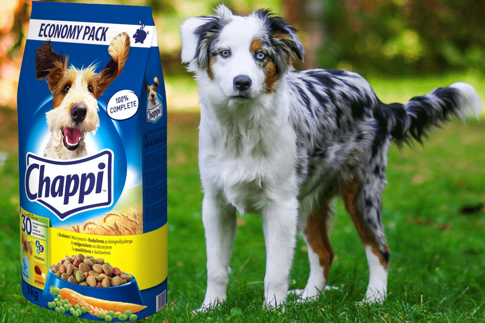 Karma dla psa CHAPPI Drób 9 kg dawkowanie analiza sklad