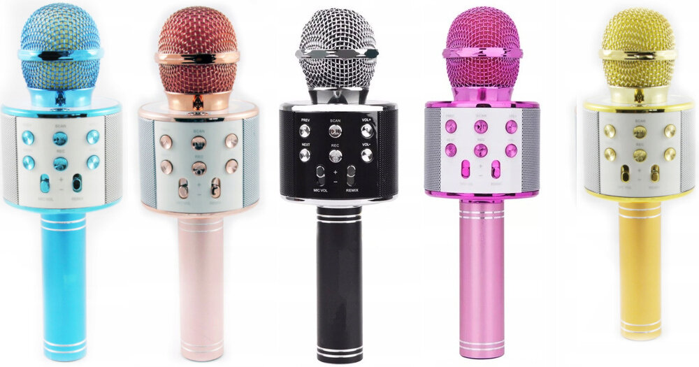 Mikrofon XREC WS858 siła głosu echo dźwięk modulator