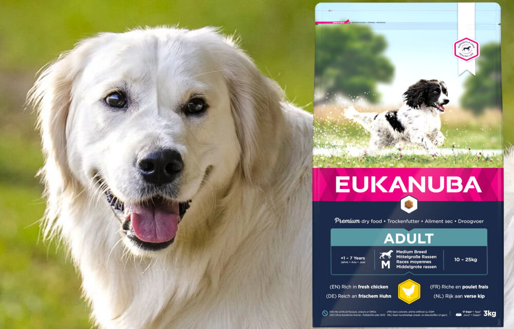 Karma dla psa EUKANUBA Medium Breeds Adult Kurczak 3 kg dawkowanie analiza sklad