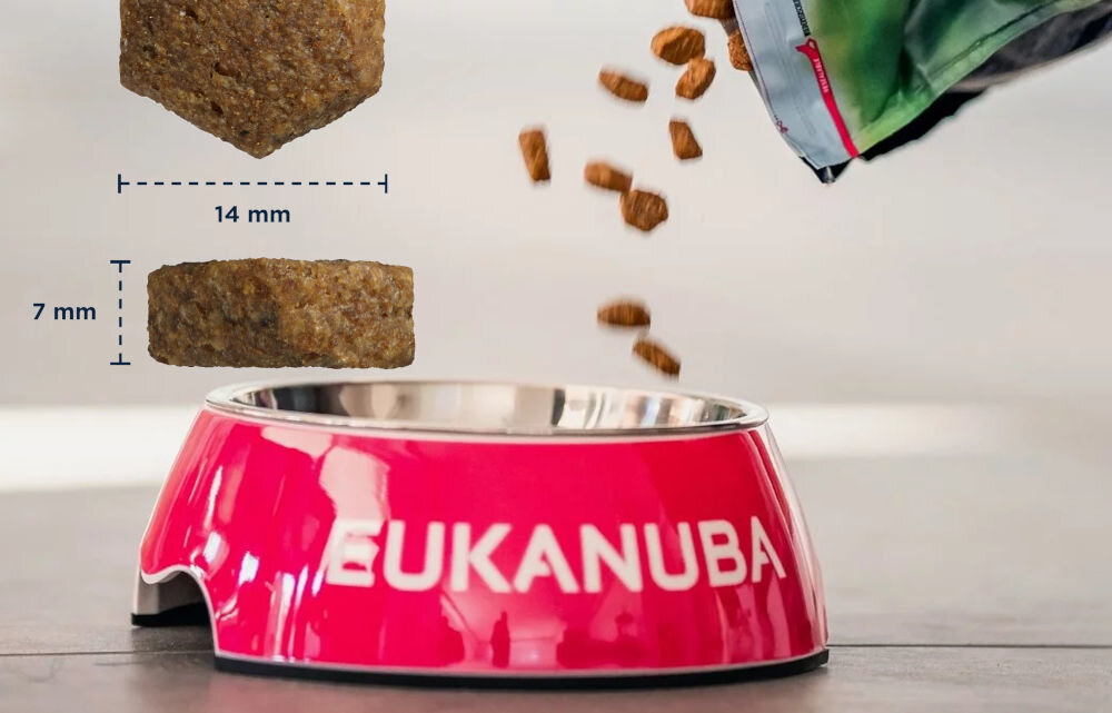 Karma dla psa EUKANUBA Senior Breeds Jagnięcina z ryżem 2,5 kg naturalne składniki