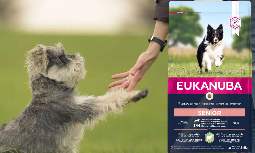 Karma dla psa EUKANUBA Senior Breeds Jagnięcina z ryżem 2,5 kg dawkowanie analiza sklad