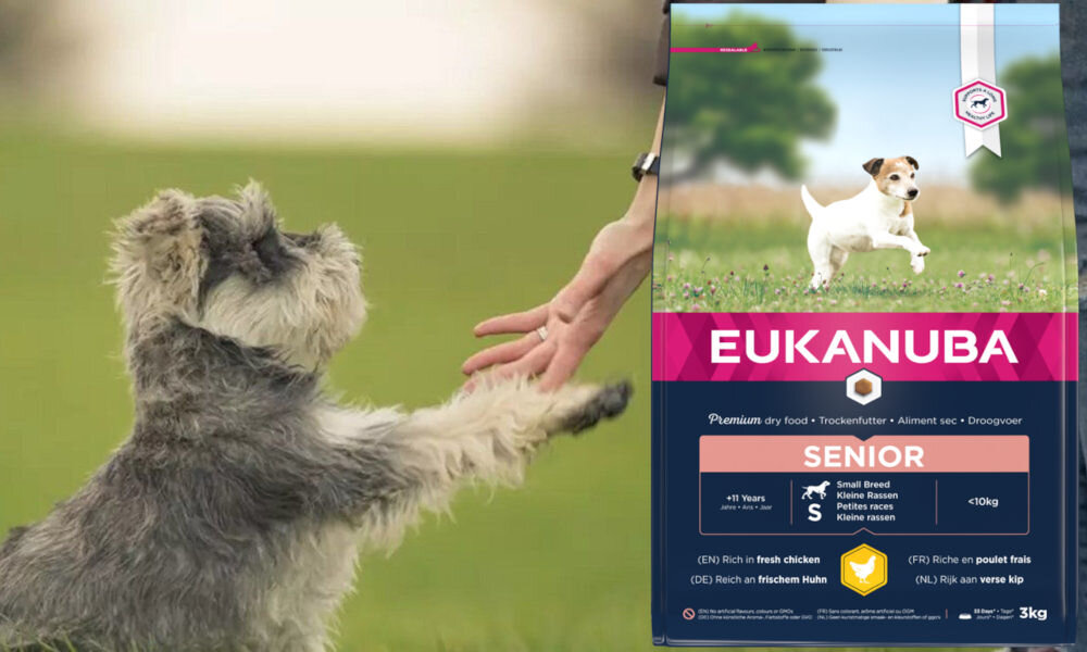 Karma dla psa EUKANUBA Senior Medium Breed Kurczak 3 kg dawkowanie analiza sklad