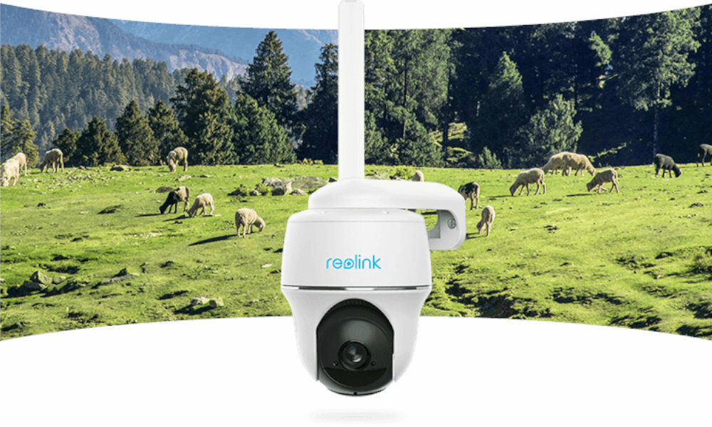 kamera REOLINK HSIC18001 owce