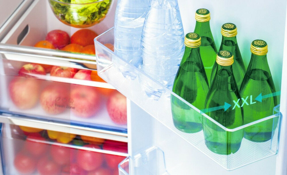 Lodówka HISENSE RB224D4BWF polki pojemnik