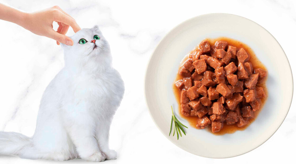 Karma dla kota GOURMET Gold Kurczak i wątróbka 85 g jasne tło biały kot miska z karmą nie zawiera dodatku barwników sztucznych aromatów sztucznych konserwantów poręczna puszka o masie 85 g jednorazowe opakowanie
