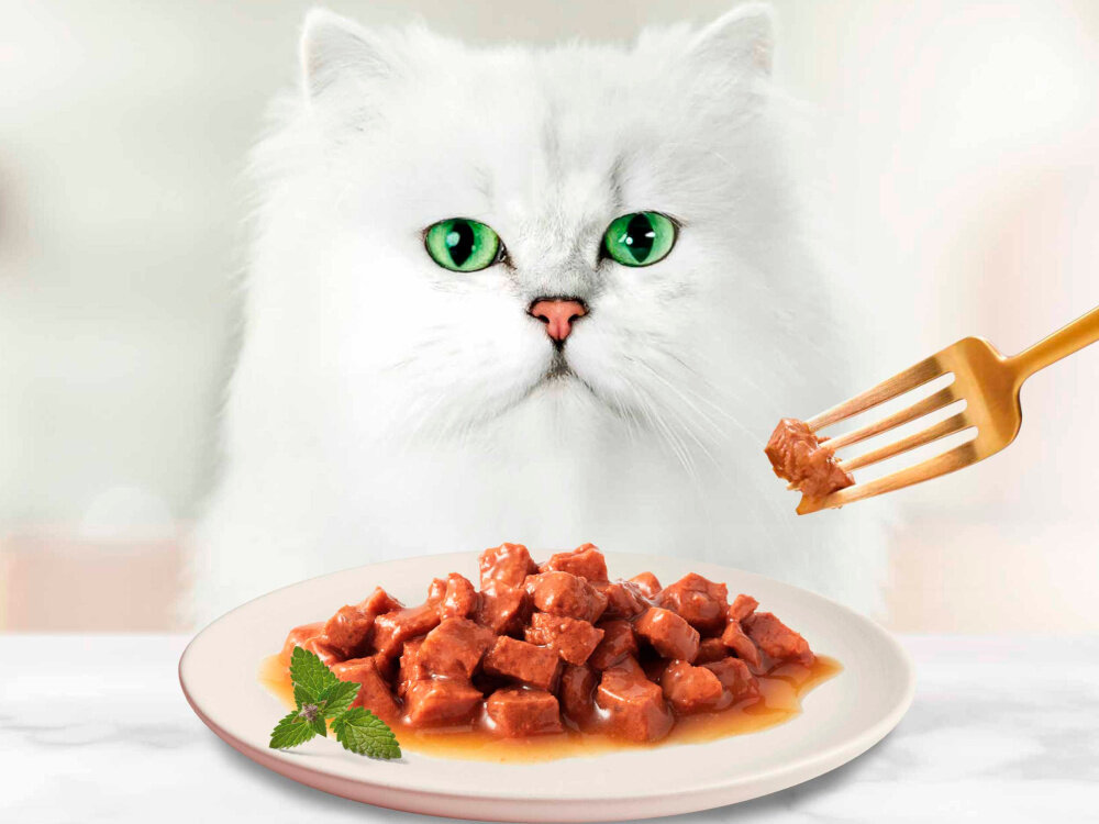 Karma dla kota GOURMET Gold Kurczak i wątróbka 85 g kolaż zdjęć z karmą skład kurczak 4% wątróbka 4%