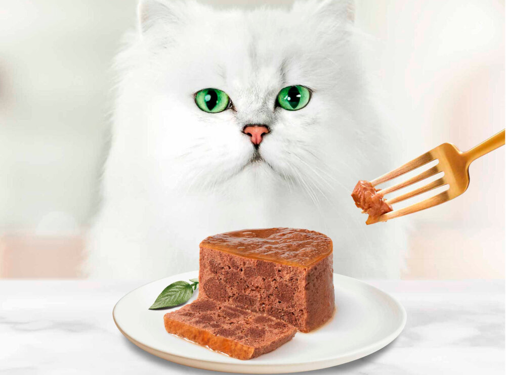Karma dla kota GOURMET Gold Pasztet Królik 85 g biały kot przed nim talerz z karmą dla dorosłych kotów wyrazisty smak i delikatną strukturę mokrego pożywienia porcja 85 g wartość energetyczna 890 kcal/kg