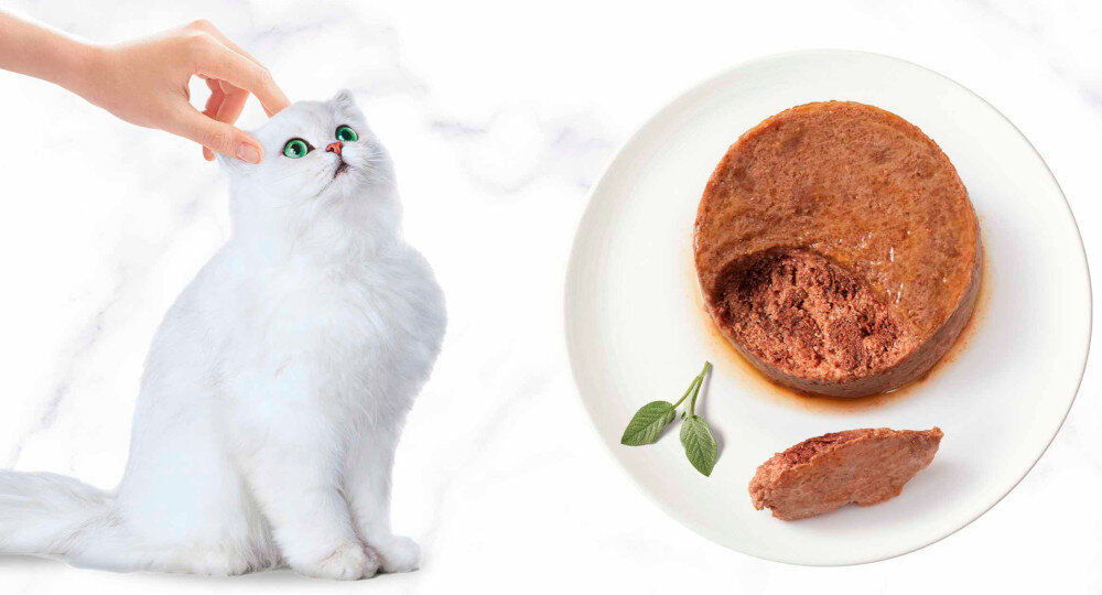 Karma dla kota GOURMET Gold Pasztet Królik 85 g jasne tło biały kot osoba głaszcze kota obok talerz z karmą składniki analityczne dodatki dietetyczne