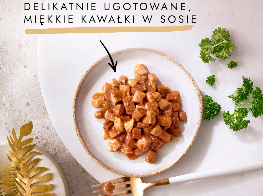 Karma dla kota GOURMET Gold Łosoś i kurczak 85 g widok z góry talerz z karmą jasne tło napis Gold smak karma dla kota pełnoporcjowe danie