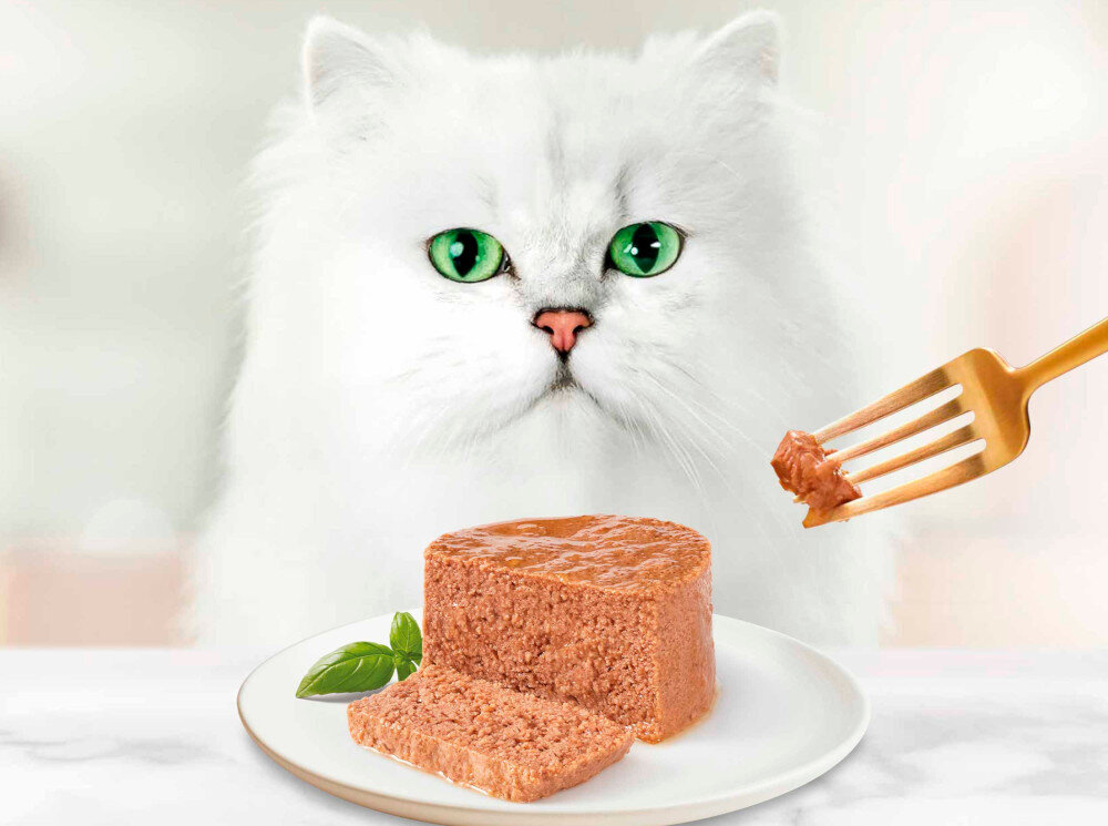 Karma dla kota GOURMET Gold Mus z tuńczykiem 85 g biały kot przed nim talerz z karmą dla dorosłych kotów wszystkich ras Pełnoporcjowa receptura witamin i minerałów wartość energetyczna 1059 kcal/kg