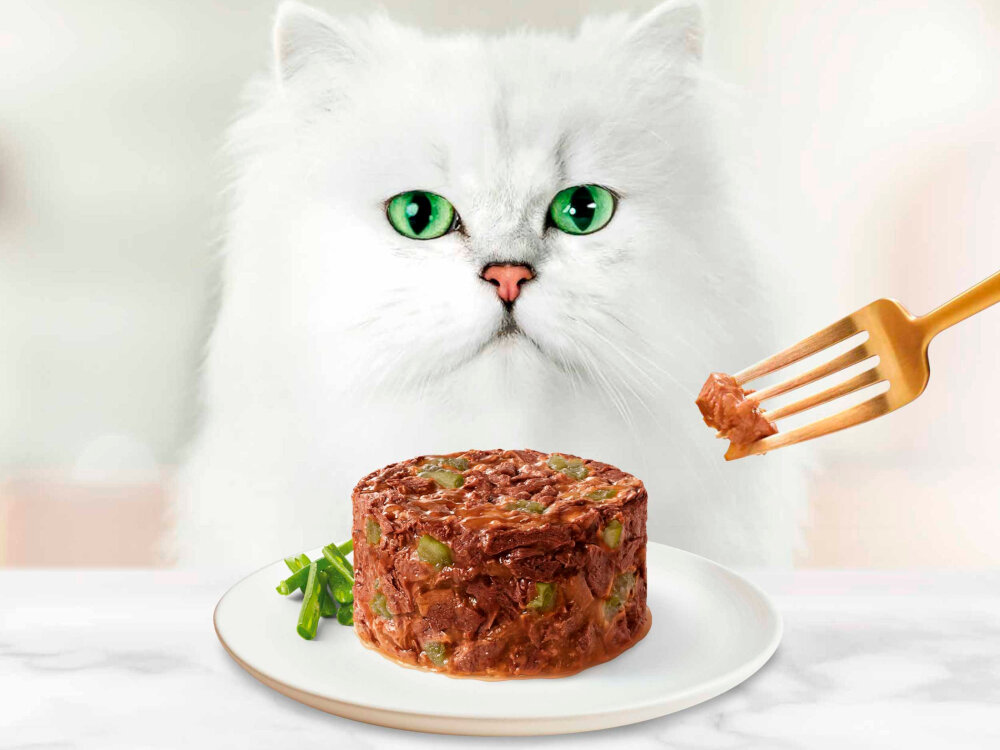 Karma dla kota GOURMET Gold Savoury Cake Jagnięcina i zielona fasola 85 g Połączenie jagnięciny i zielonej fasoli zawiera zestaw witamin i składników mineralnych element codziennego żywienia dorosłego kota