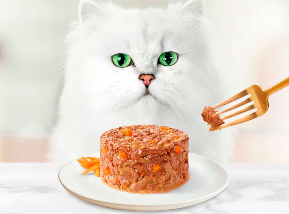 Karma dla kota GOURMET Gold Savoury Cake Kurczak i marchewka 85 g Połączenie jagnięciny i zielonej fasoli zawiera zestaw witamin i składników mineralnych element codziennego żywienia dorosłego kota