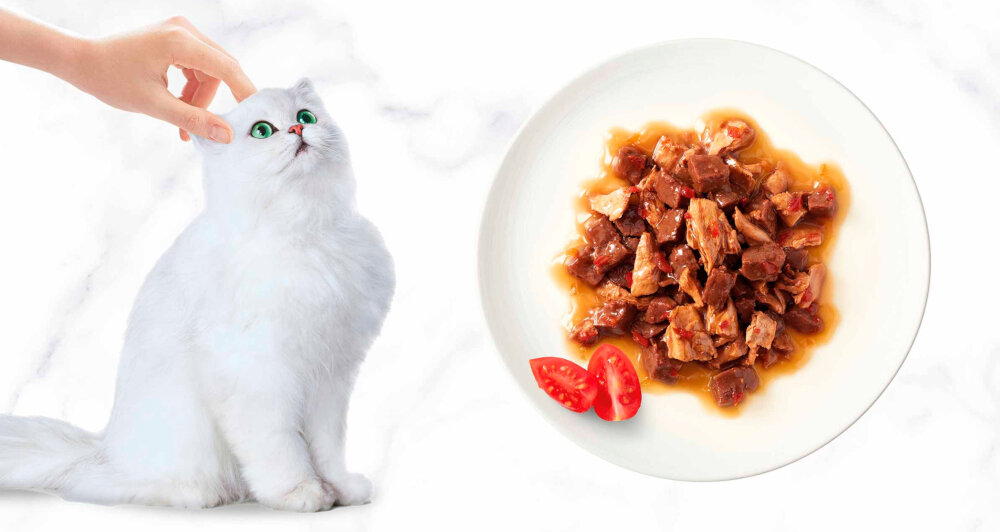 Karma dla kota GOURMET Casserole Wołowina i kurczak w sosie pomidorowym 85 g jasne tło biały kot miska z karmą nie zawiera dodatku barwników sztucznych aromatów sztucznych konserwantów poręczna puszka o masie 85 g jednorazowe opakowanie