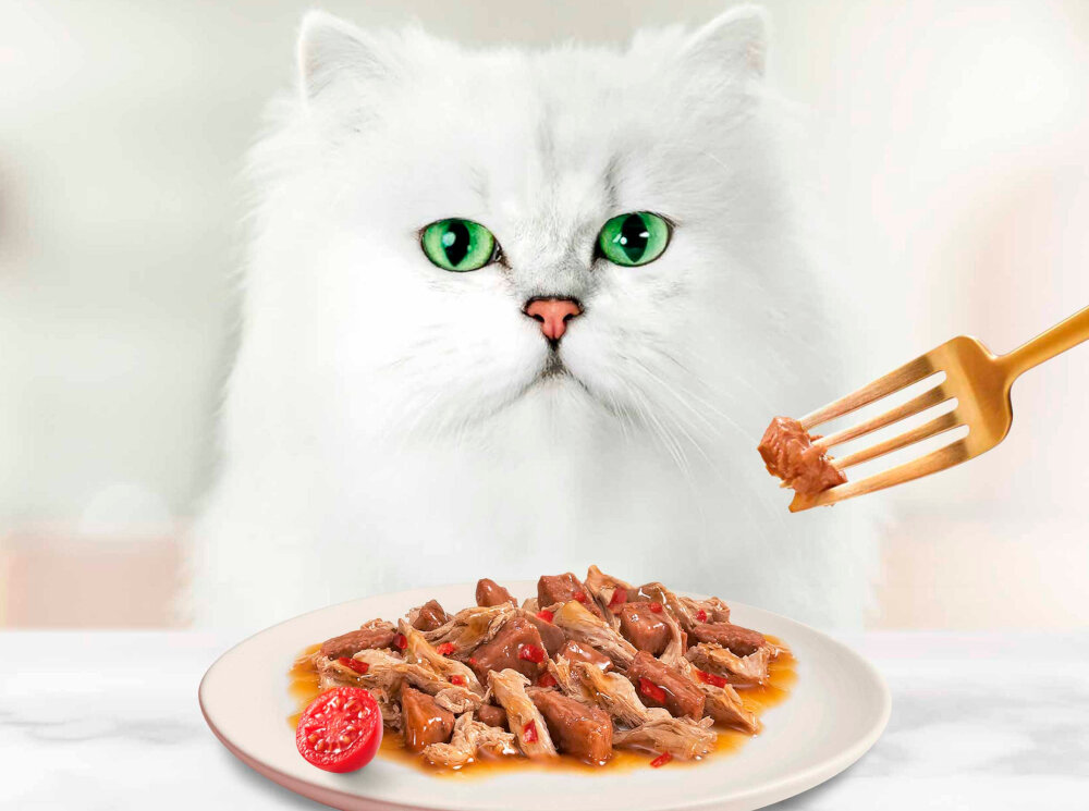 Karma dla kota GOURMET Casserole Wołowina i kurczak w sosie pomidorowym 85 g kolaż zdjęć z karmą skład wołowina 4% kurczak 4% odwodniony pomidor 0.9%, odpowiada 13.5% pomidorów w sosie