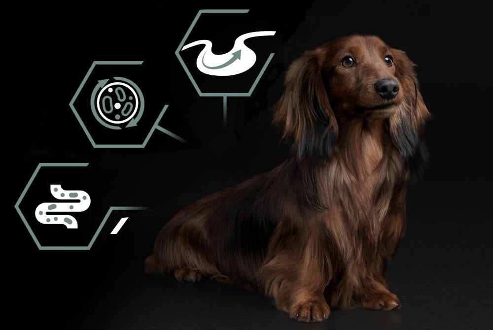 Karma dla psa PURINA Pro Plan Small & Mini Adult Jagnięcina 3 kg dodatki analiza
