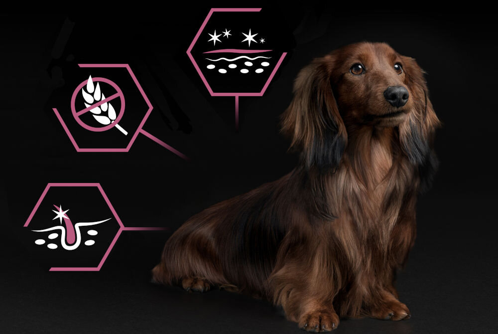 Karma dla psa PURINA Pro Plan Sensitive Skin Small & Mini Adult Łosoś 3 kg dodatki analiza