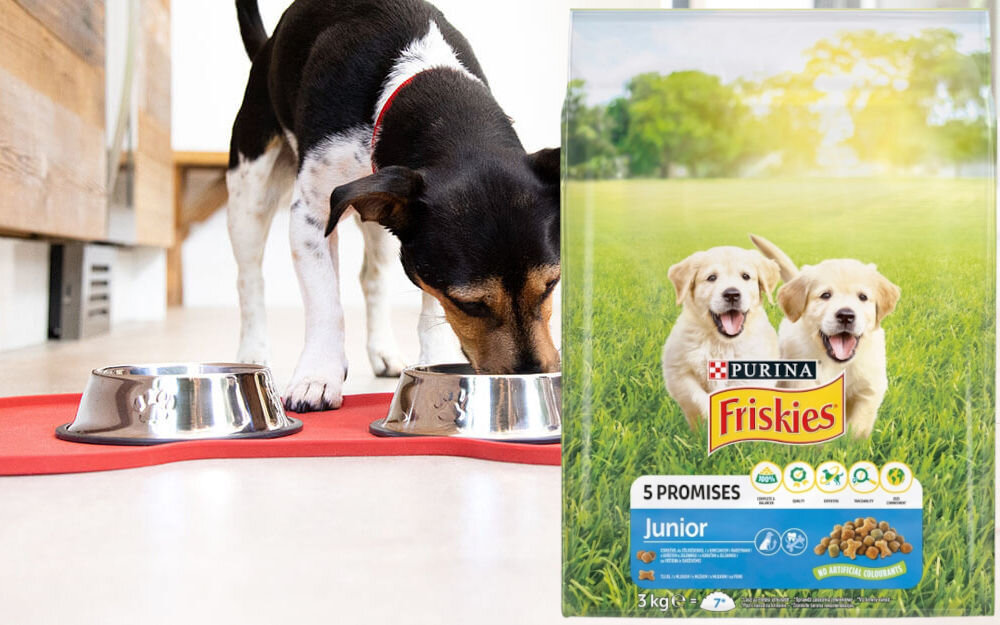 Karma dla psa FRISKIES 5 Promisses Junior Kurczak Warzywa i Mleko 3 kg witaminy zdrowie