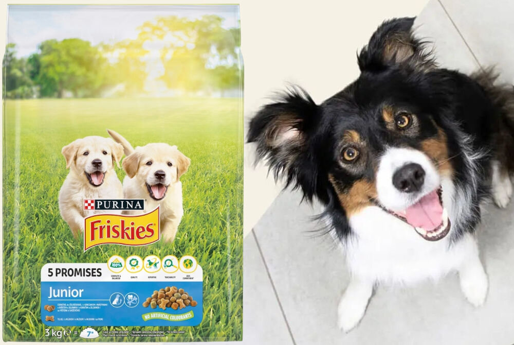 Karma dla psa FRISKIES 5 Promisses Junior Kurczak Warzywa i Mleko 3 kg sklad analiza