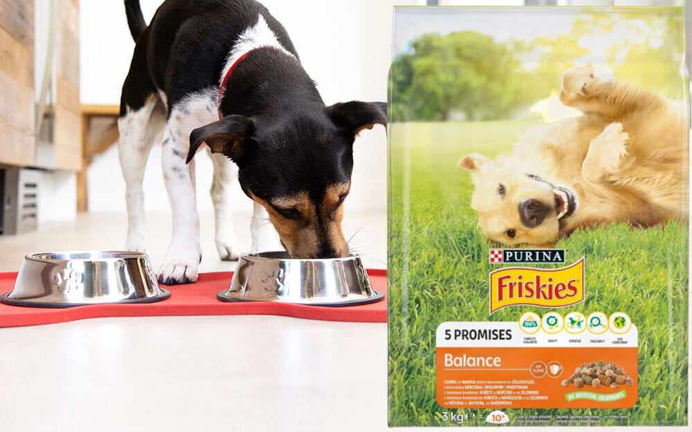 Karma dla psa FRISKIES 5 Promisses Balance Kurczak, Wołowina i Warzywa 3 kg witaminy zdrowie