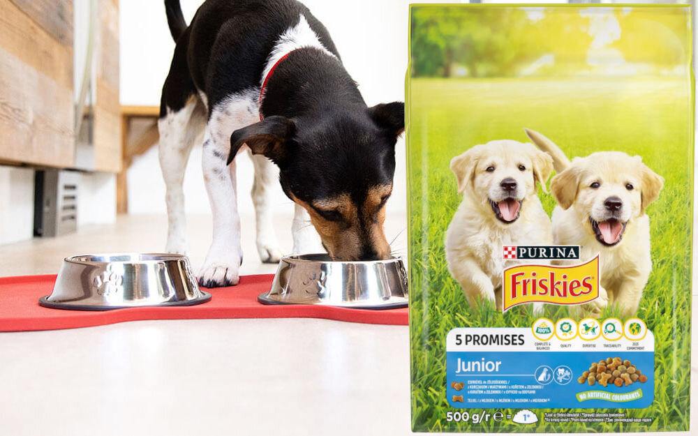 Karma dla psa FRISKIES 5 Promises Junior z kurczakiem i warzywami z mlekiem 500 g witaminy zdrowie