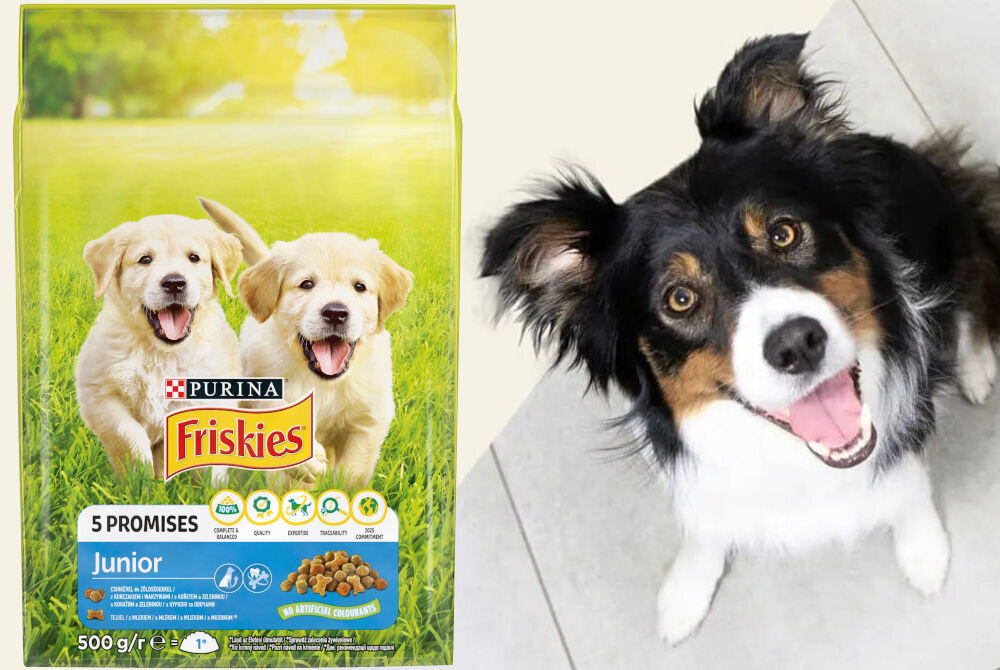 Karma dla psa FRISKIES 5 Promises Junior z kurczakiem i warzywami z mlekiem 500 g sklad analiza
