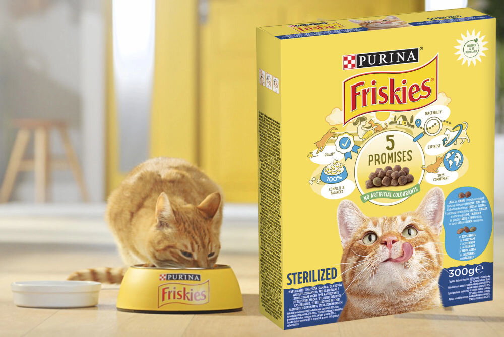 Karma dla kota FRISKIES Sterilized Łosoś z Warzywami 300 g witaminy zdrowie