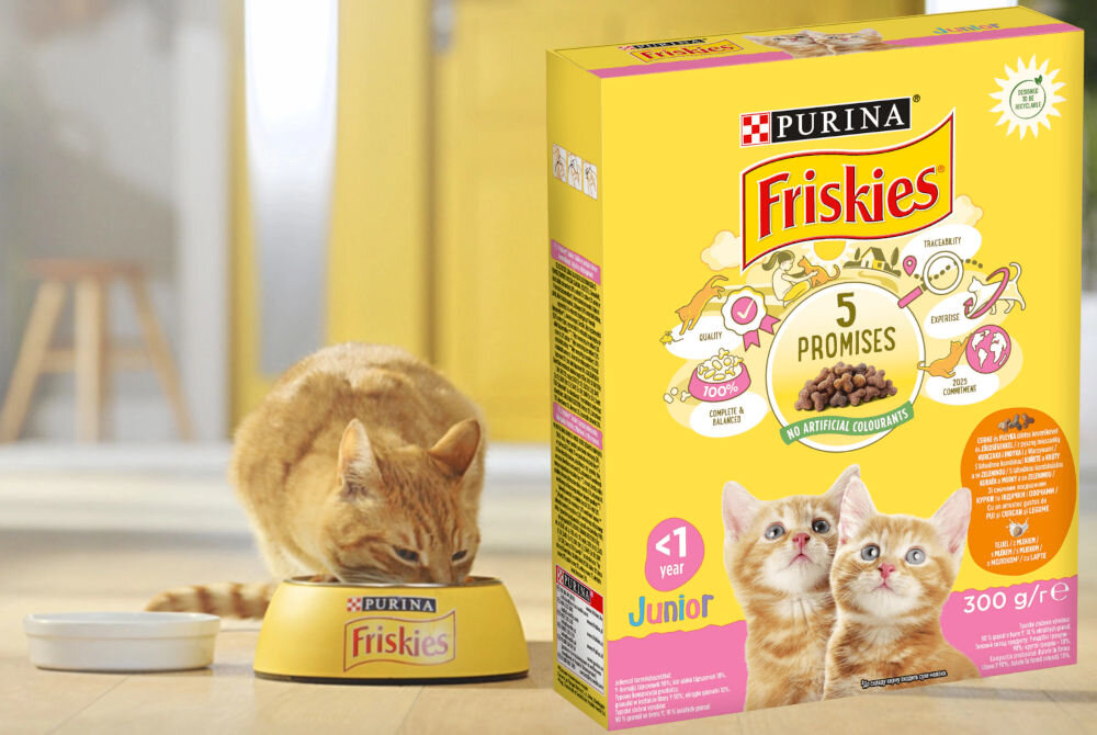 Karma dla kota FRISKIES Junior Kurczak z mlekiem i warzywami 300 g witaminy zdrowie