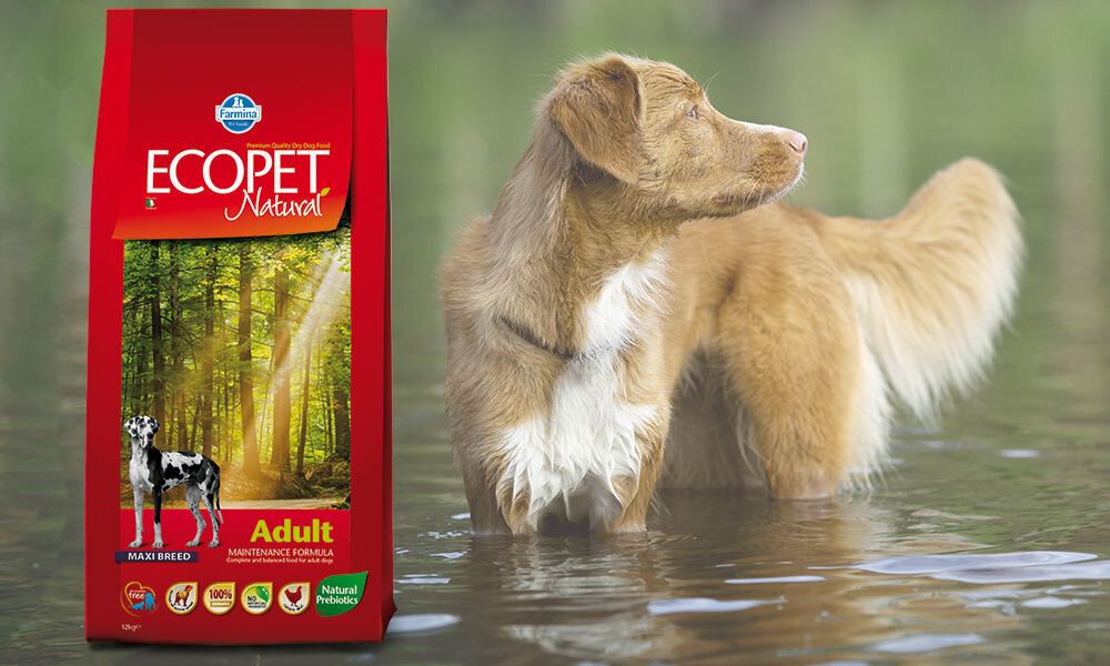 Karma dla psa FARMINA Ecopet Natural Maxi Kurczak 12 kg dawkowanie analiza sklad