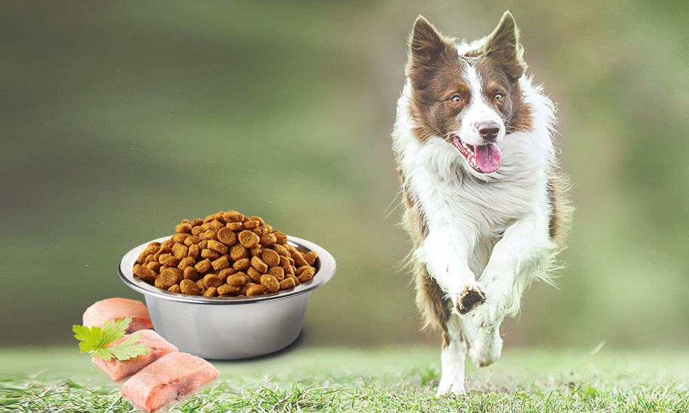 Karma dla psa Karma dla psa FARMINA N&D Ocean Śledź i pomarańcza Adult Mini 2,5 kg naturalne składniki wielkość krokietów