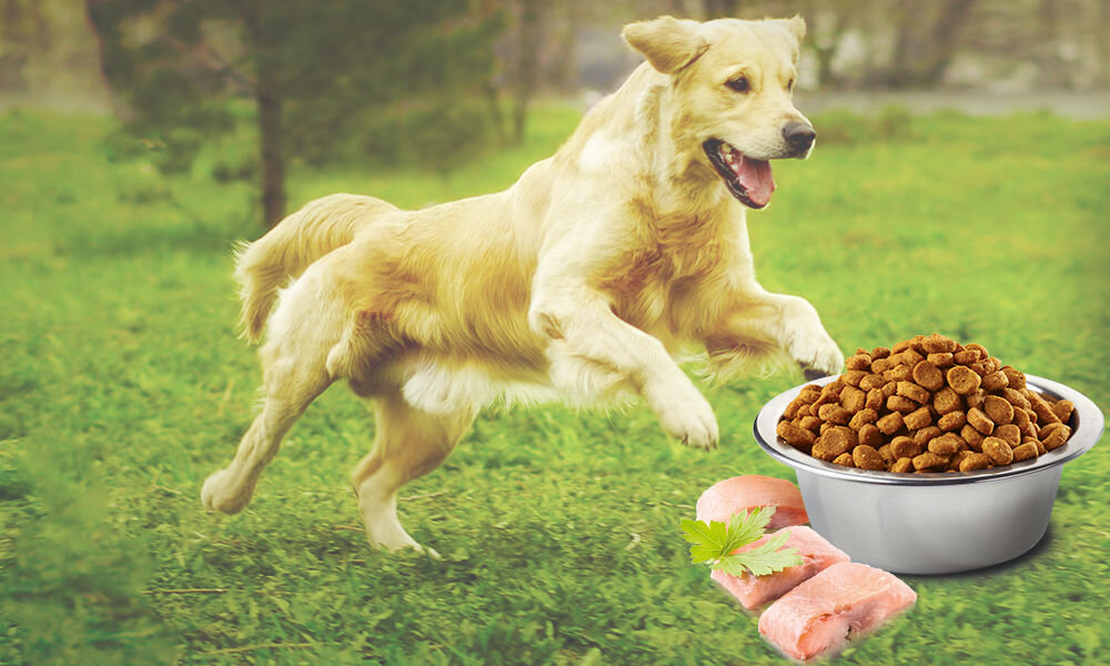 Karma dla psa Karma dla psa FARMINA N&D Ocean Śledź i pomarańcza Adult Mini 2,5 kg witaminy pierwiastki aminokwasy